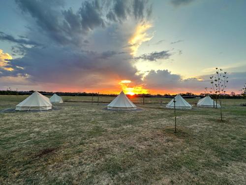 East Wangaratta Other | Glamping at Beltie Park