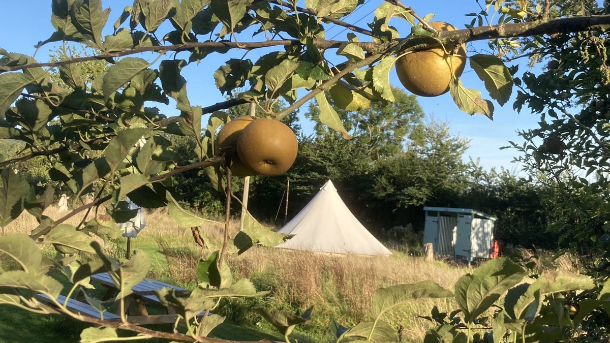 Westbrook Court Cabin | Glamping at The Homestead - Ensuite bell tent