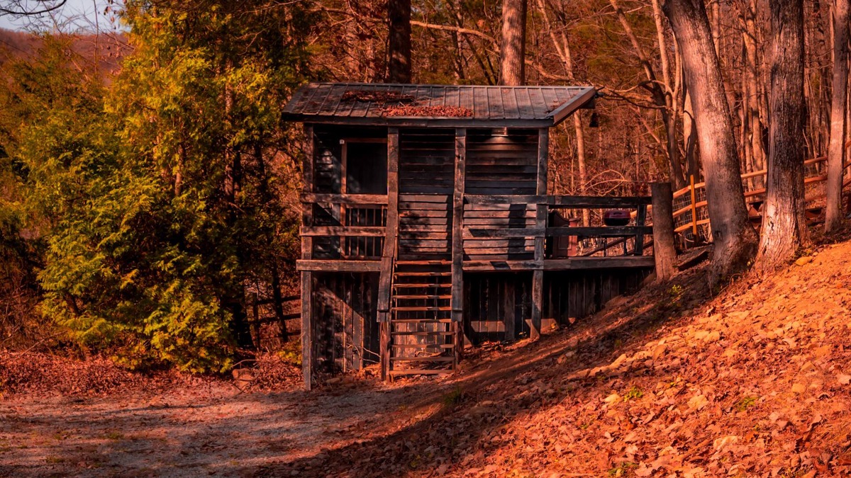 Lynx Cabin | Glamping Cabin | Huge Window | Nature Lovers Dream