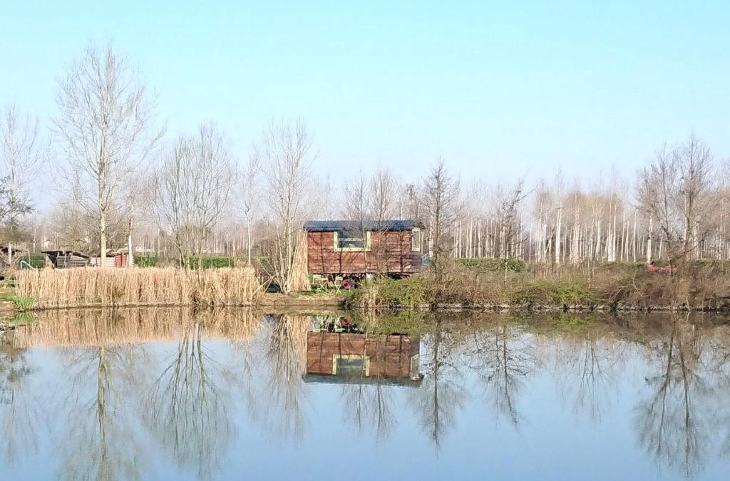 Albairate House | Glamping Casetta sul lago 2