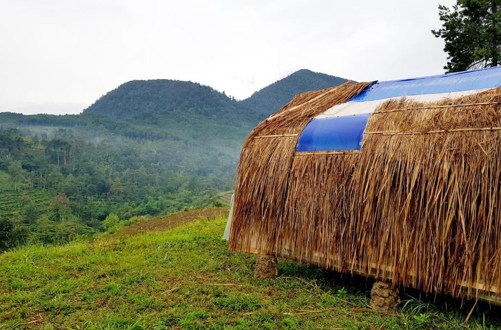 Pasirjambu Other | Glamping di Jungle, Ciwidey