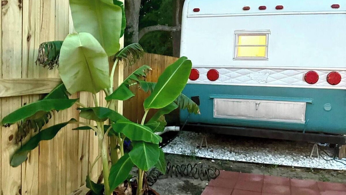 Wrightsboro Apartment | Glamping Getaway! 10 Min to Downtown, 22 min to Beach!