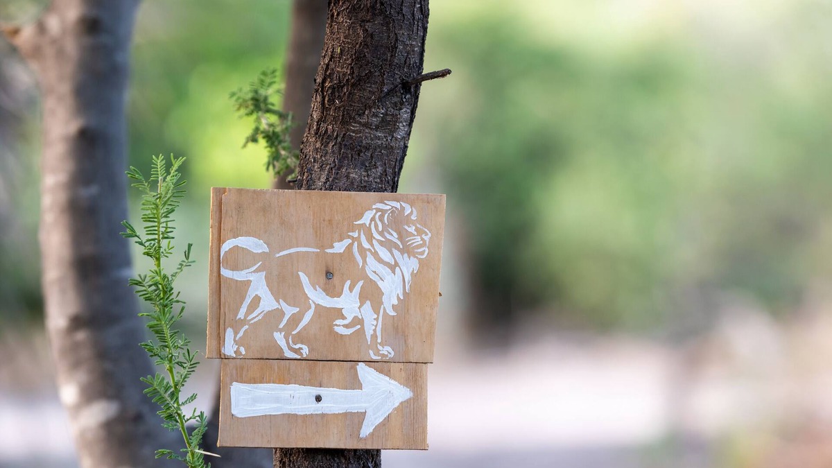 Maun House | Glamping in comfort between Maun and Moremi