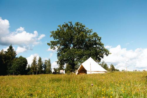 Eksjo Municipality Other | Glamping in Småland