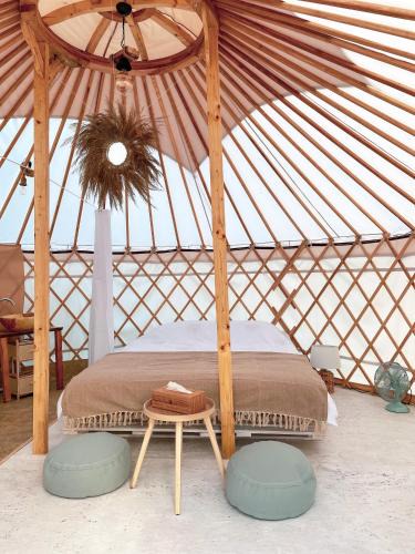 Vama Buzaului Other | Glamping Iurte Mongole Spiritul Zimbrului