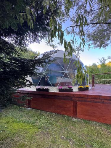 Nejdek Other | Glamping Lužec