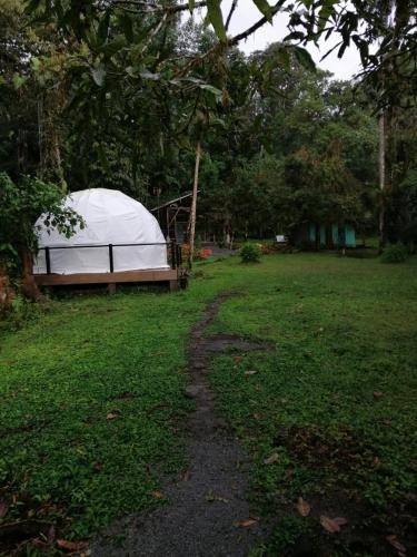 Mindo Other | Glamping para experiencias únicas en pareja