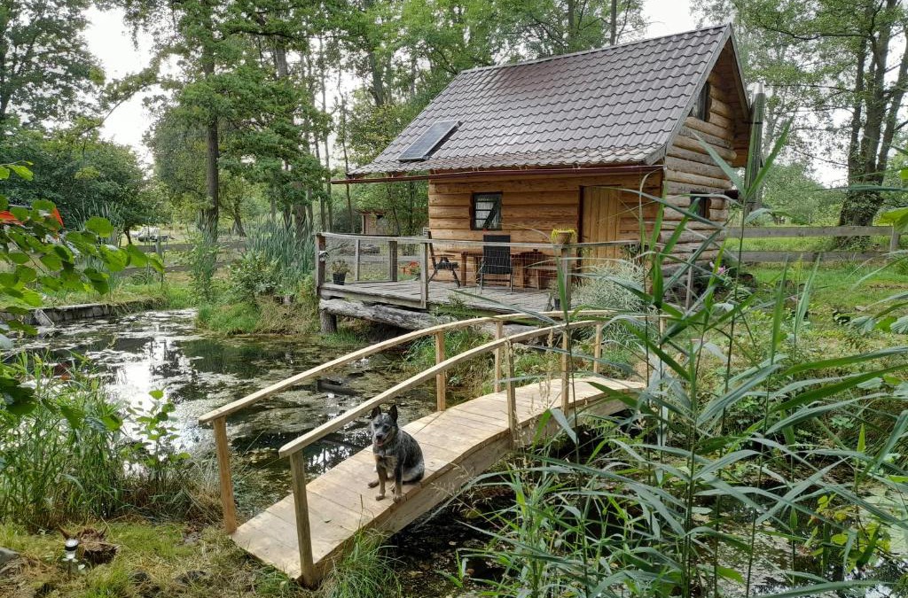 Ceska Kamenice Other | Glamping pod hradem