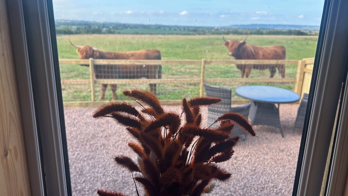 Whaddon Cabin | Glamping Pod in secluded location with Highland Cows at the fence