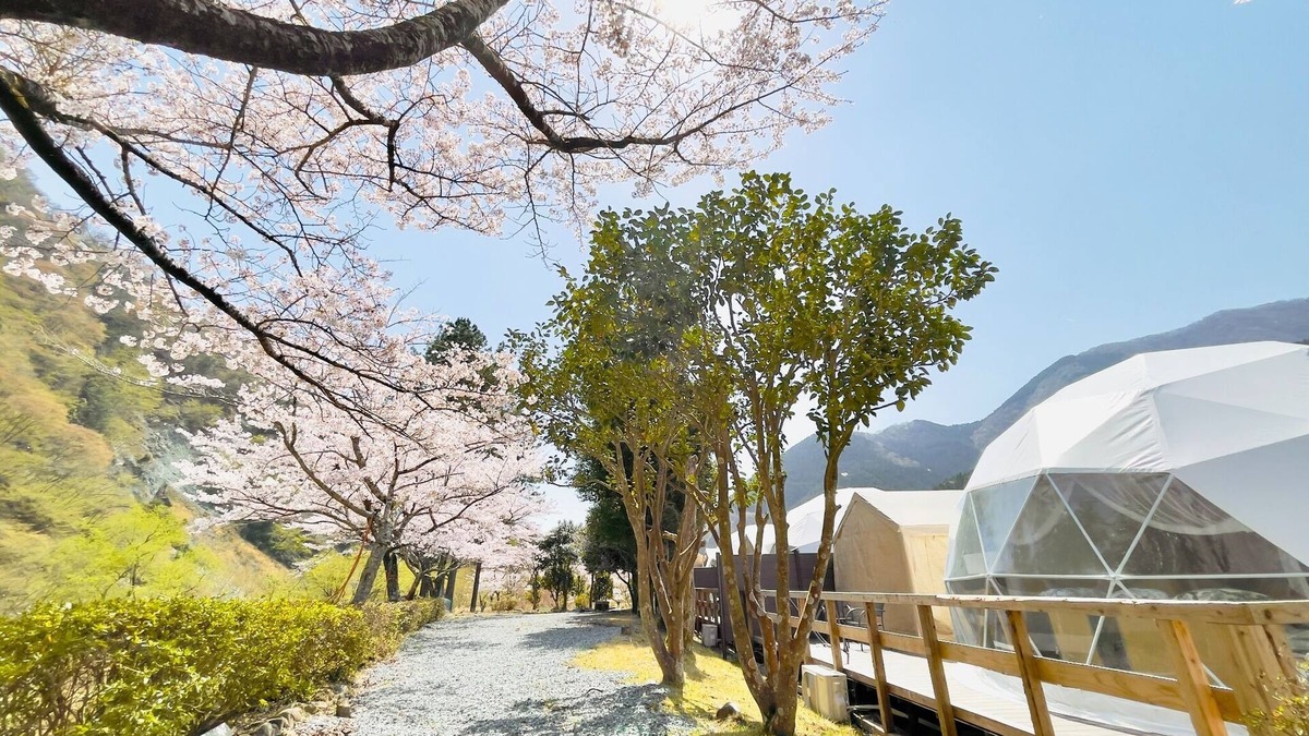 Yamakita Hotel | Glamping RiversidePets allowed with toilet and openair bath Room only plan/Ashigarakamigun Kanagawa