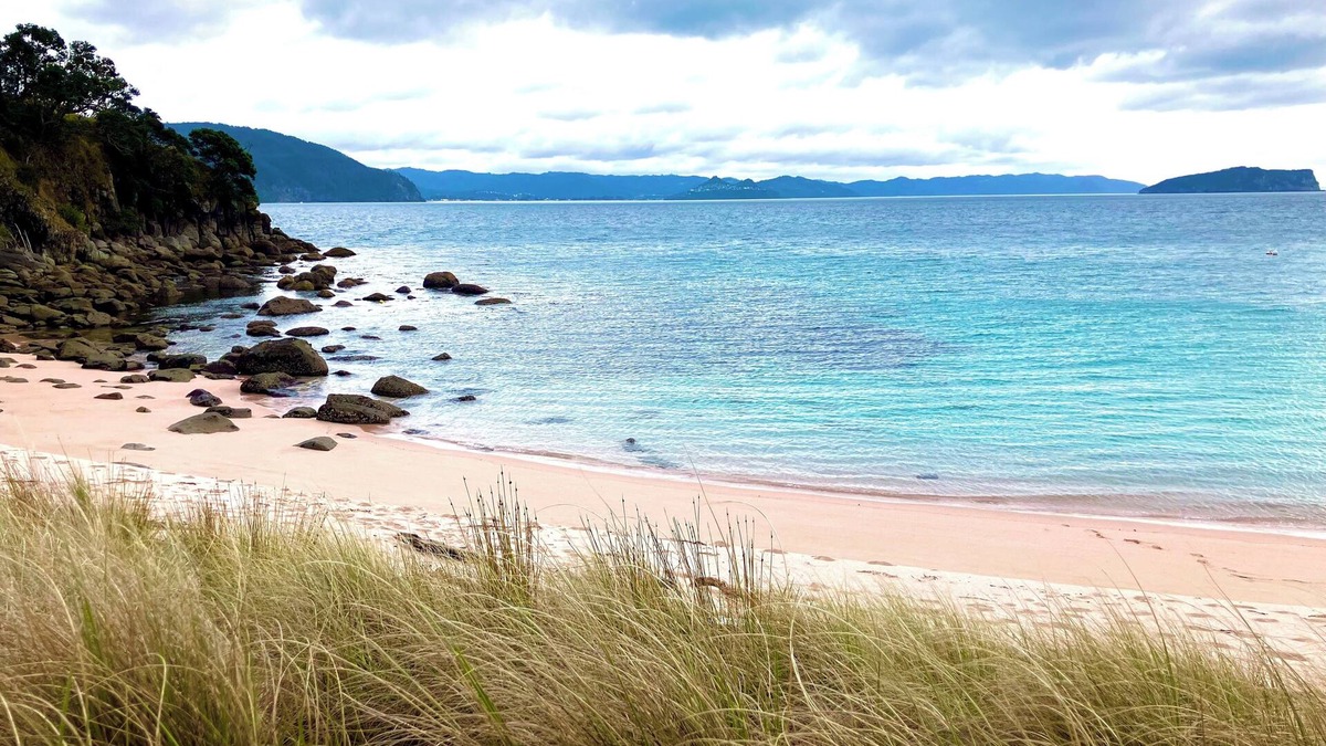 Pauanui Cabin | Glamping. Spacious and Relaxed. Super close to everything to enjoy in Pauanui.