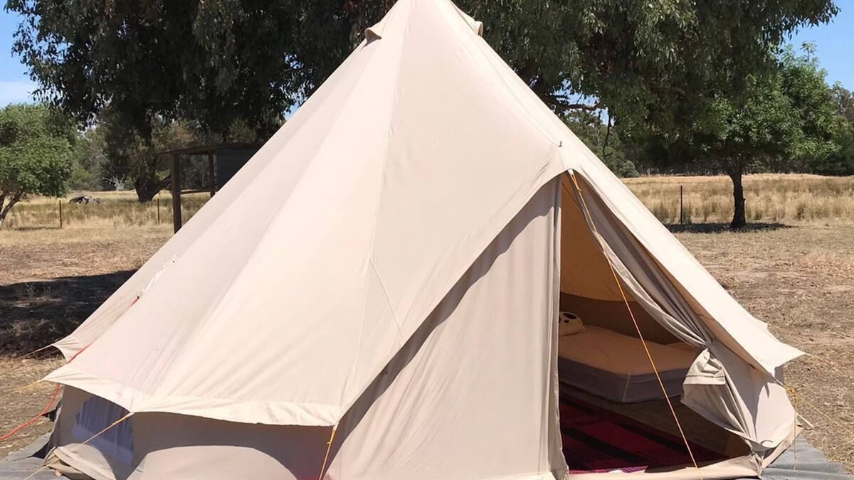 Violet Town Other | Glamping Tent in a farm with lots of pets