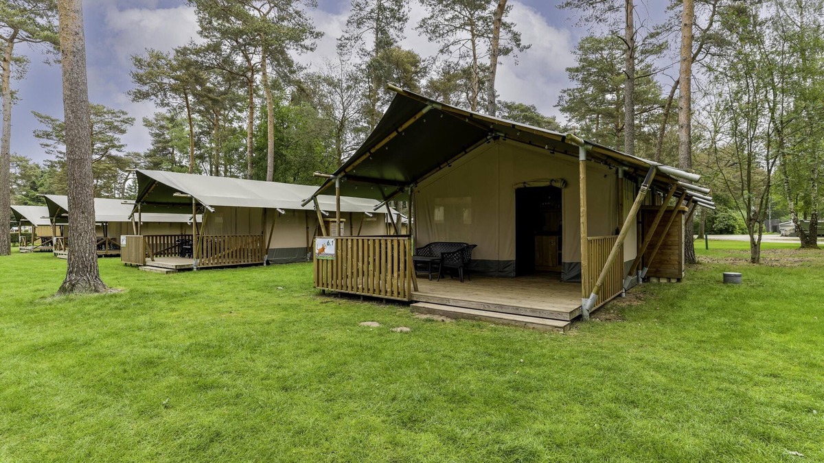 Vessem House | Glamping tent on campsite with swimming pool
