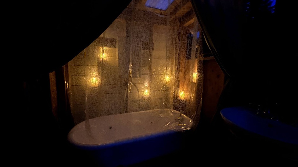 Duvall House | Glamping With Alpacas in an Eco-Friendly Dome Outside of Seattle