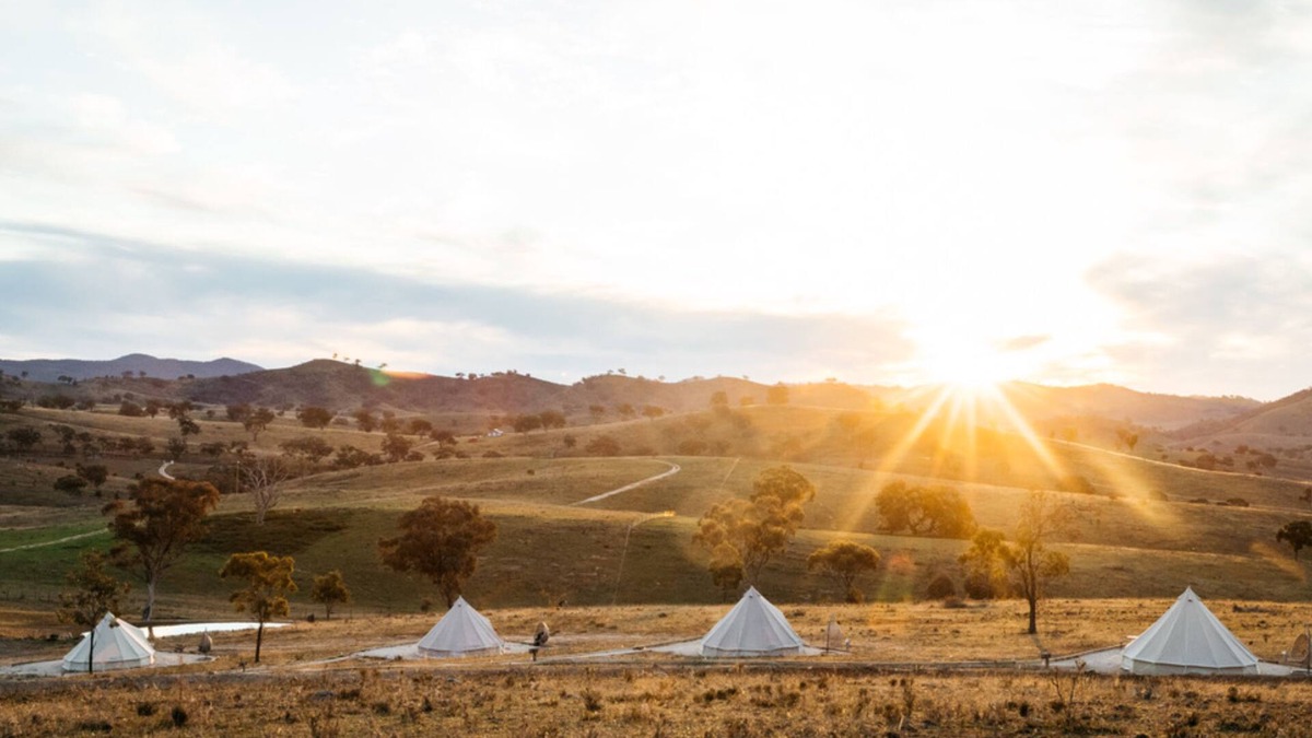 Windeyer Other | Glenayr Farm - Shiraz
