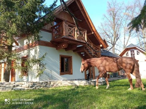 gmina Wasniow House | Gniazdo w Parku