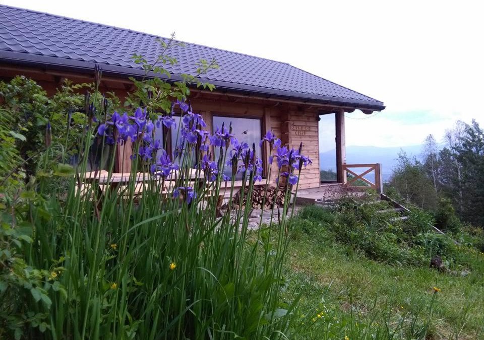 Miedzylesie House | Gniewoszów Brzmienie Ciszy