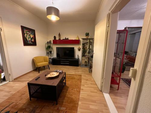 Dornach Apartment | Goetheanum Casa