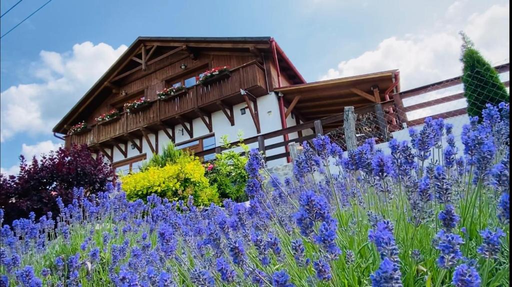 Szilvasvarad House | Gold Horse Vendégház