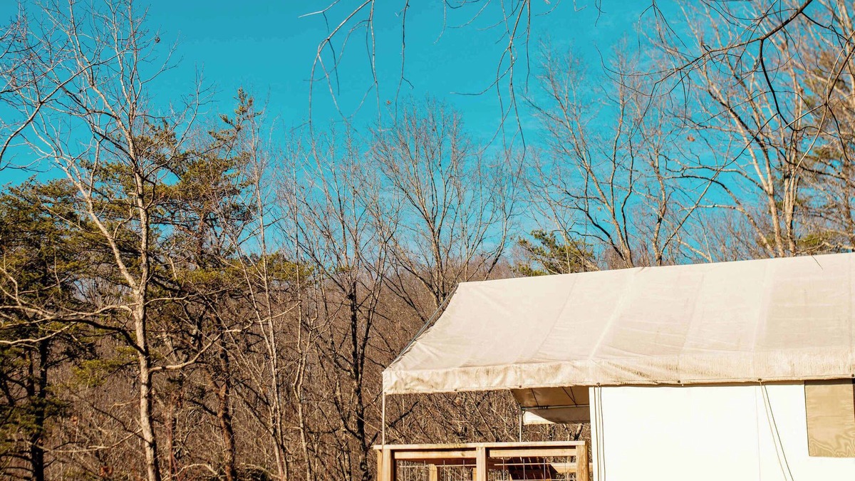 Primrose RV Rental | Goldfinch's Nest- Glamping Tent with AC