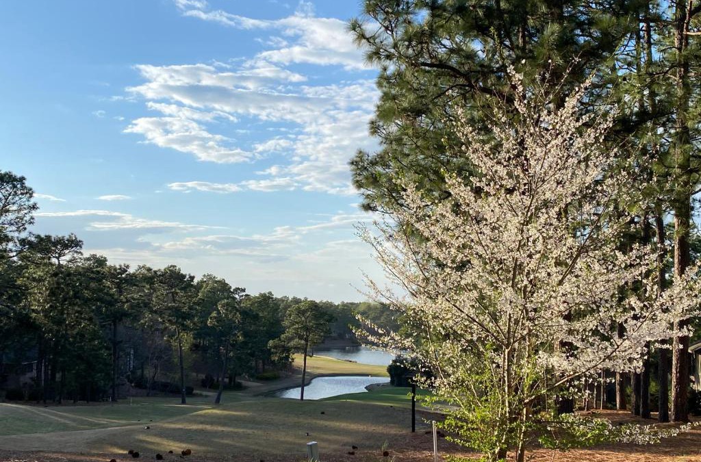 Pinehurst House | Golf Front SFH, 3 BR, 2 BA, 4 beds, sleep 6 on Pinehurst #6