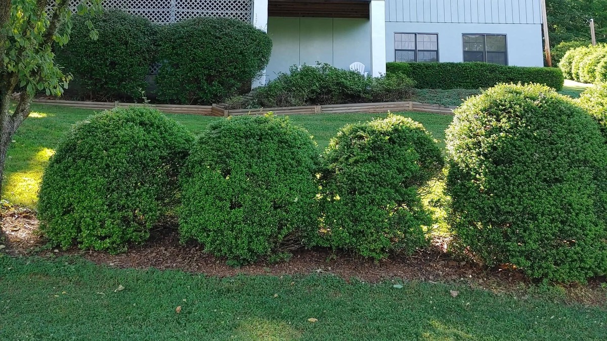 Franklin House | GOLFING GETAWAY RIGHT ON THE GREEN!! SLEEPS 4 ADULTS