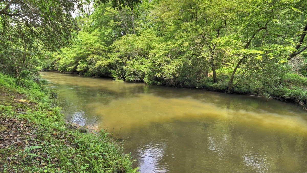 Epworth Cabin | Gone Fish Inn| Creek Frontage| Hot Tub | Pool Table