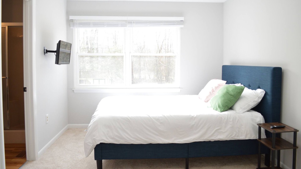 Columbia Apartment | Gorgeous and Private In-Law Apartment in Columbia, Nestled Amongst the Trees