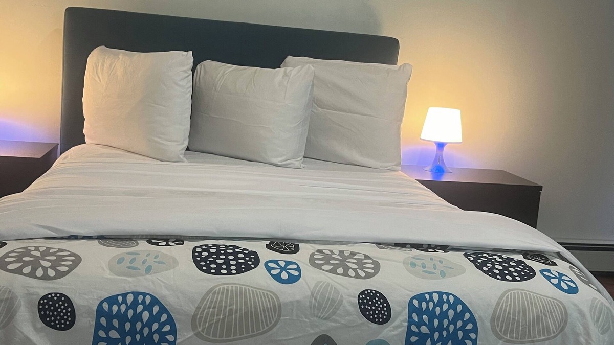 Ocean Hill Apartment | Gorgeous and Spacious Brooklyn 3 Bedroom home