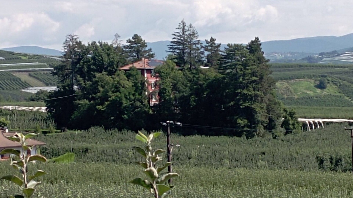 Terres House | Gorgeous apartment in villa with private forest - Brenta Dolomites Park