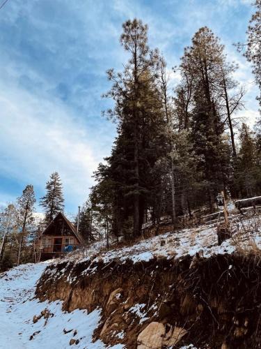 Potato Patch House | Gorgeous Cabin with Fireplace and Stunning Forest Sights in Prescott, Arizona