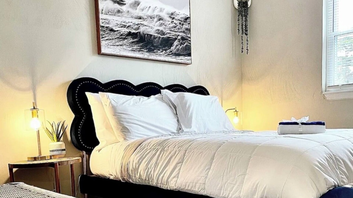 Chic's Beach House | Gorgeous Chics Beach Guesthouse Pet & Child Friendly. No Stairs, Private Parking