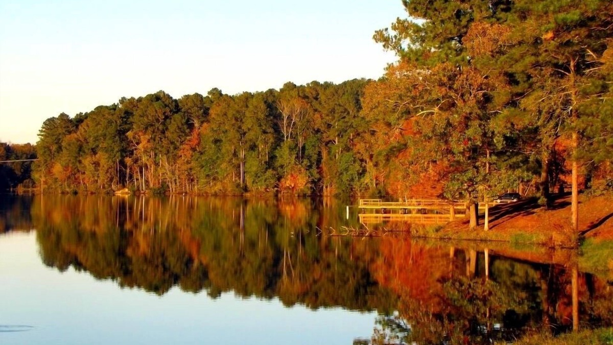 Remer Cabin | Gorgeous Chippewa Forest and Little Sand Lake @ backyard of this beautiful Cabin