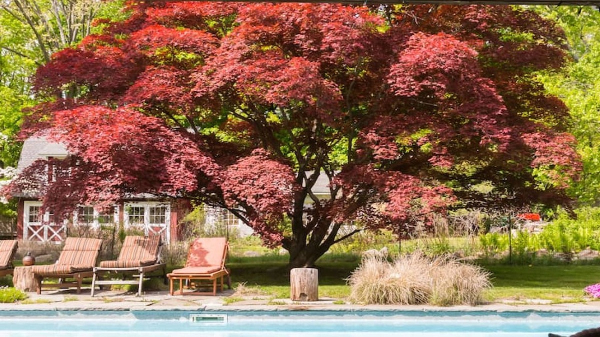 Garrison House | Gorgeous Garrison Gem Pool Sauna Hot Tub More