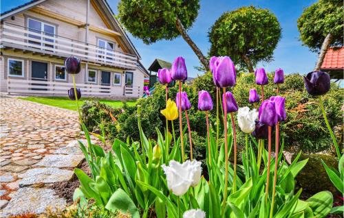 Darlowo House | Gorgeous Home In Darlowo With Wifi