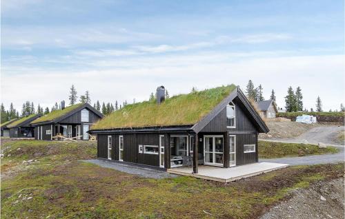 Sjusjoen House | Gorgeous Home In Sjusjøen With Kitchen
