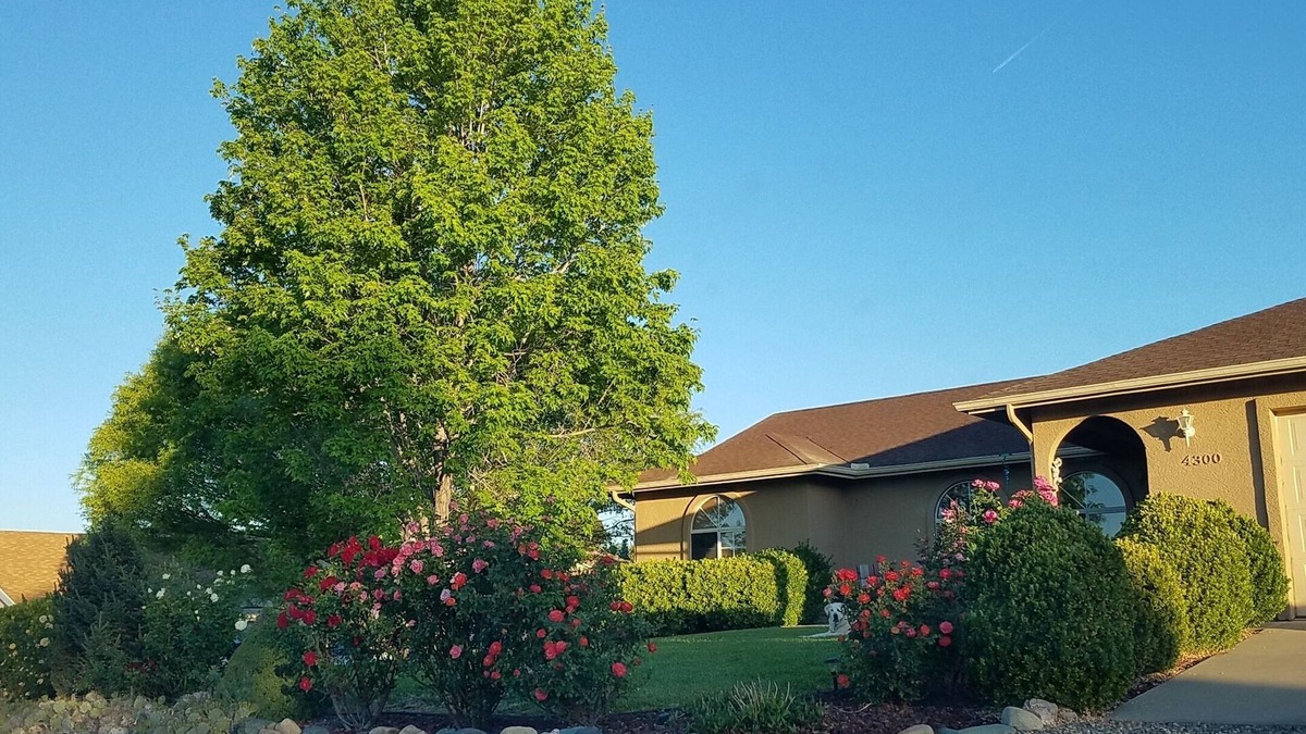 Prescott Valley Units House | Gorgeous home with lots of space. Beautifully landscaped back yard.