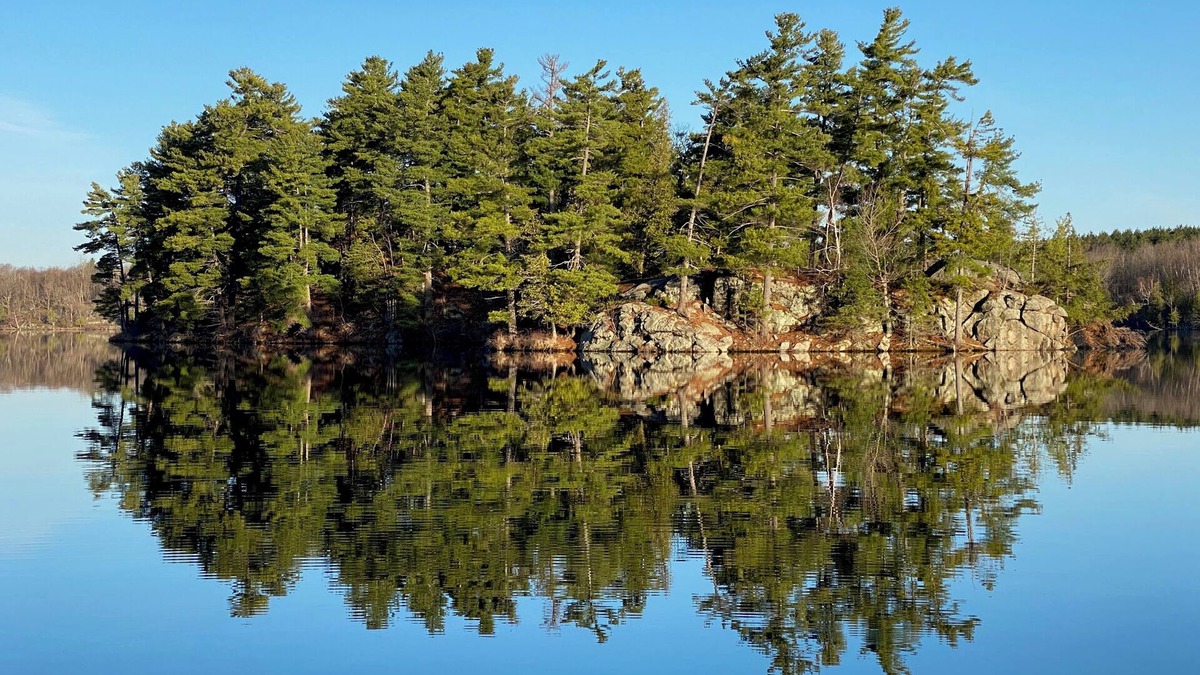 Tay Valley Cottage | Gorgeous Island View Cottage near Perth Ontario