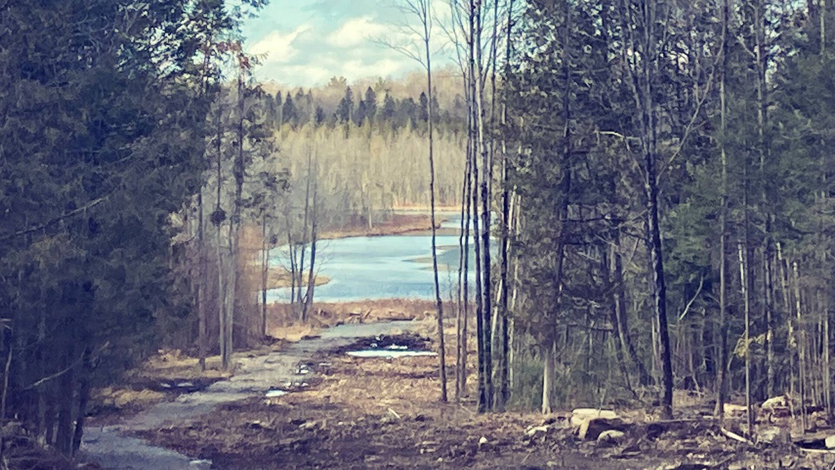 Limerick Cottage | Gorgeous Lakehouse- sitting on 7 Acres - Near Trails- WiFi- Fireplace