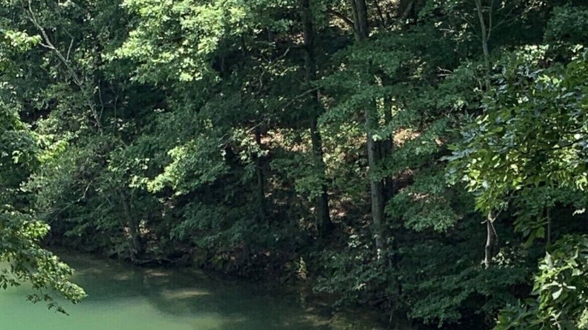 Gainesville Villa | Gorgeous Renovated Lake Front Home on Lanier sleeps 12, w dock, steps to water