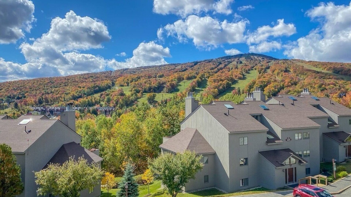 West Dover Apartment | Gorgeous ski retreat apartment with fireplace and Mountain View.