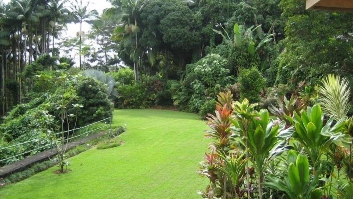 Papaikou Apartment | Gorgeous studio apartment on the Hamakua Coast 6 minutes to downtown Hilo. 99/nt