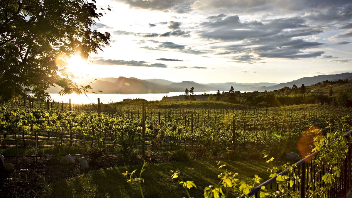 Okanagan-Similkameen House | Gorgeous suite on Gjoa's Vineyard located in the heart of the Naramata Bench