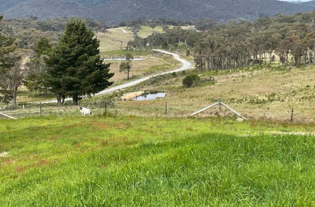 Middle Arm House | Gorkha Village Goulburn