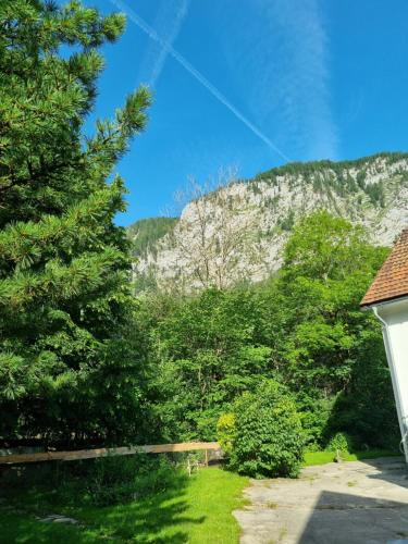 Spital am Pyhrn House | Gorshof