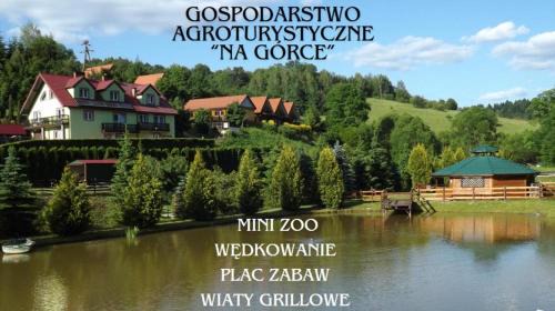 Solina House | Gospodarstwo Agroturystyczne Na Górce pokój 3