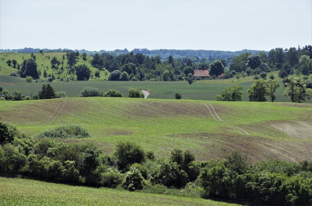 gmina Choszczno House | Gospodarstwo Agroturystyczne Dolina Wardynki