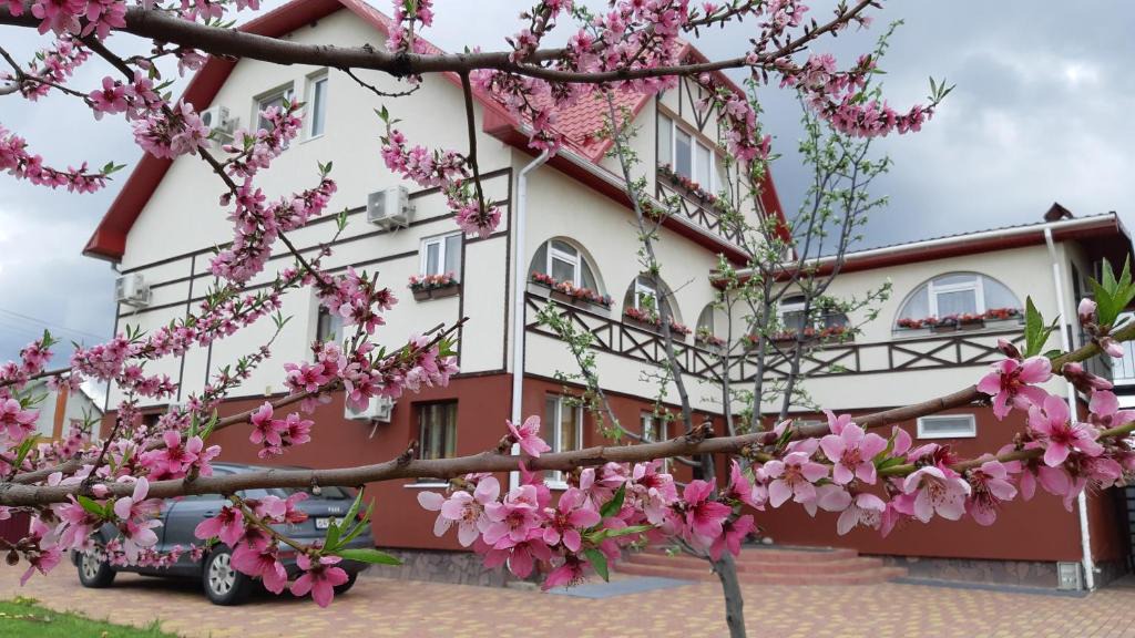 Volokonovka House | Gostievoi dom v Volokonovkie na Iesienina