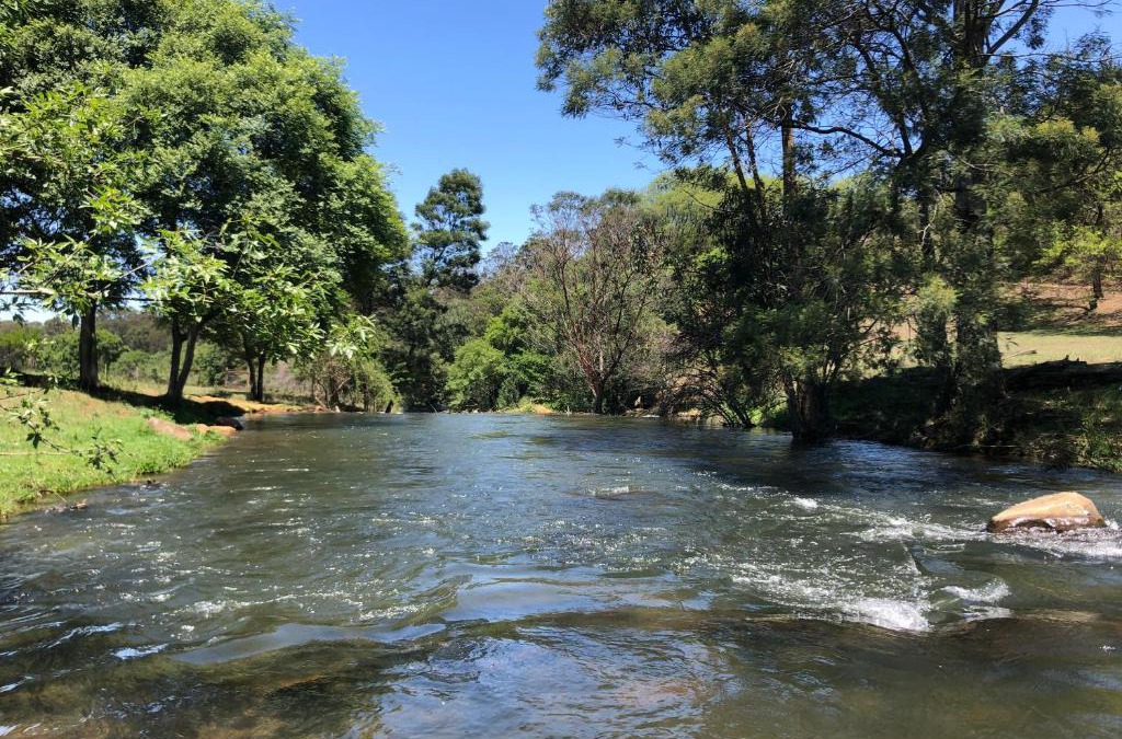 Balgowan Bed & Breakfast | Gowan Valley Guest Farm