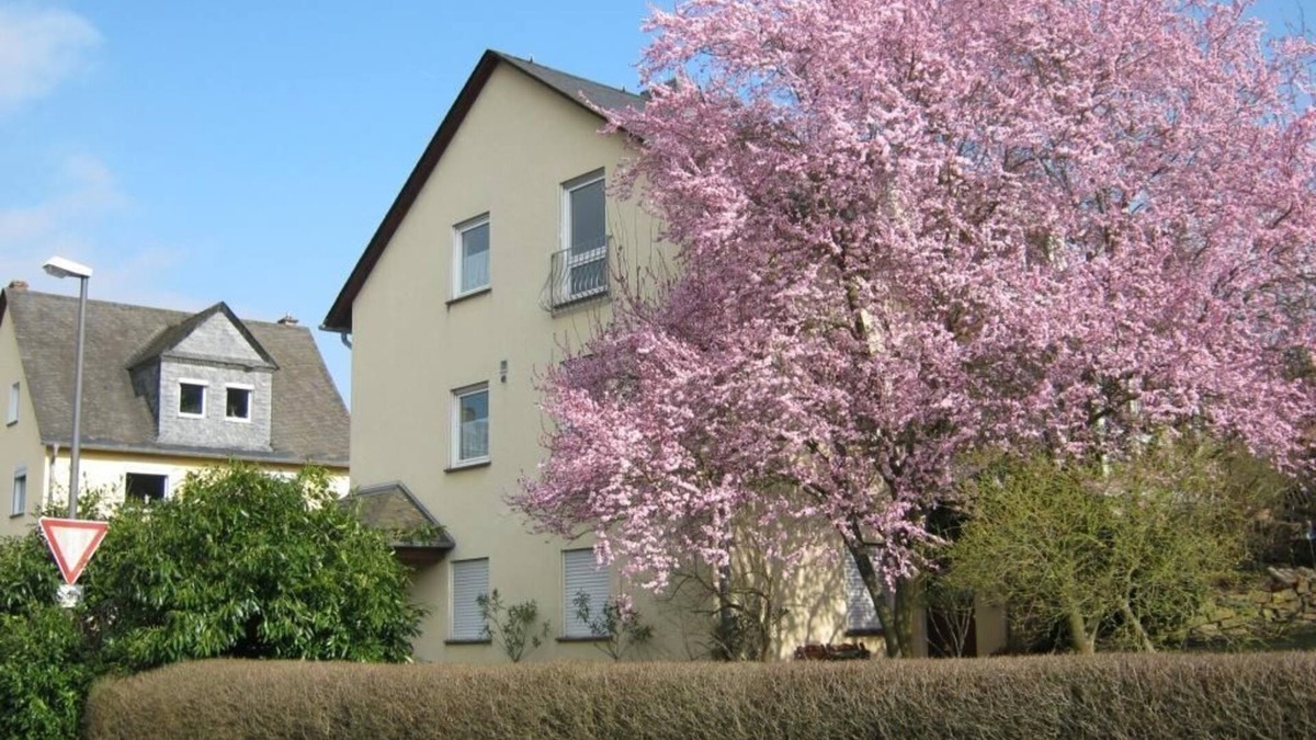 Treis-Karden Apartment | Gräf Rosemarie - 2-bed apartment